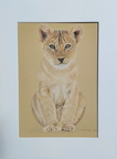 SOLD - Lion cub