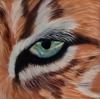 Lynx eye
