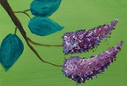 Lilacs